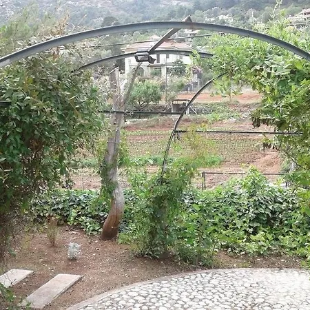 فيلة Kizilbel Homes